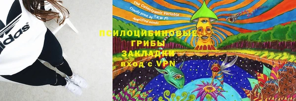 ALPHA PVP Богородицк