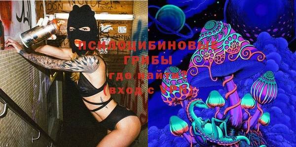 не бодяженный Богданович