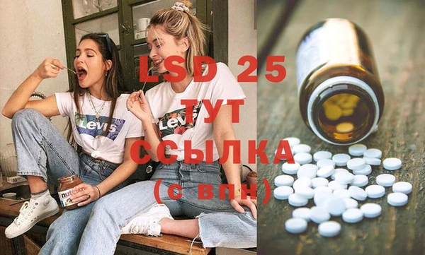 ALPHA PVP Богородицк